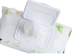 ভিজা উইপ কভার